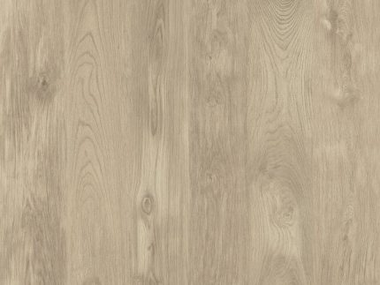 Chene tradition 3079 50