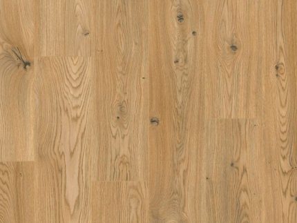 35879 Roble Mocasín