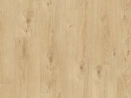 6413 Roble primavera