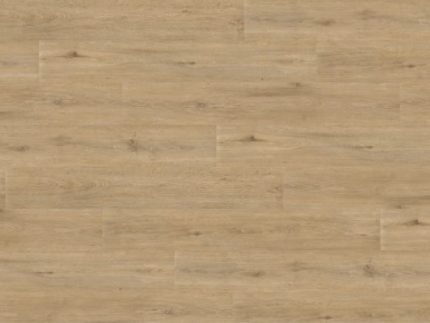 Miami LRPUM - 642706