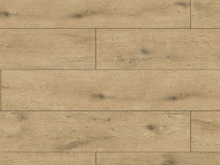 Augustine LRPUM - 643416