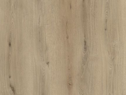 ROBLE ANTIGUO 810234