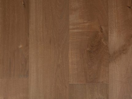 Roble canyon  MDA1521