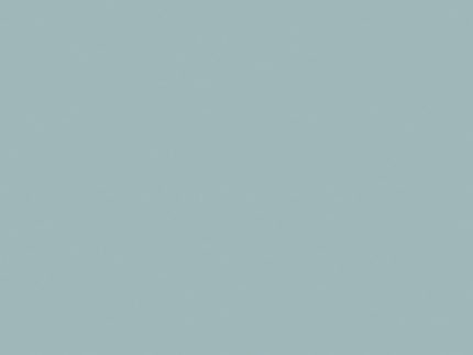 BLUSH-UNI GRIS CL.AZULADO 570